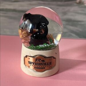 Sevierville Tennessee Bear Snow Globe